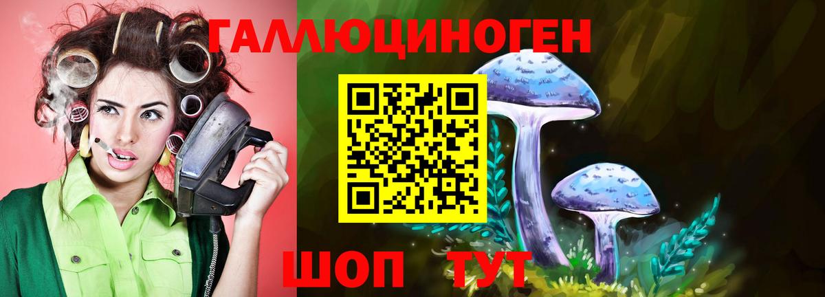 Галлюциногенные грибы Psilocybe  Вход с VPN  наркота  Михайловка 